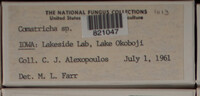 Image Associated With the Occurence